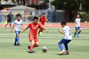 揭秘趋势跟,随交易盈利,之道,江南体育平台,江南体育官方网站,江南体育登录入口,江南体育app下载