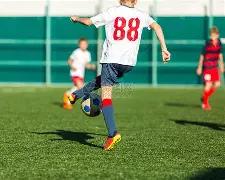 李添荣独得,王哲林,萨姆纳贡献,江南体育平台,江南体育官方网站,江南体育登录入口,江南体育app下载